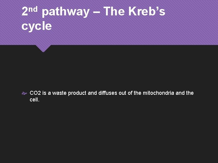 2 nd pathway – The Kreb’s cycle CO 2 is a waste product and