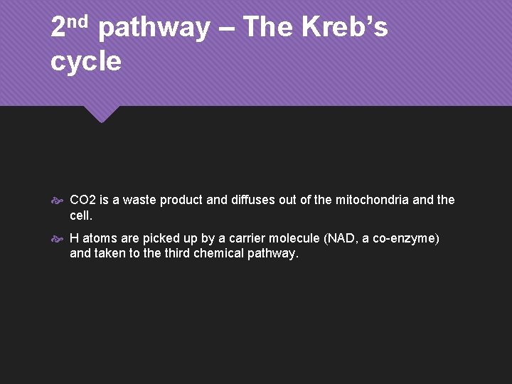 2 nd pathway – The Kreb’s cycle CO 2 is a waste product and
