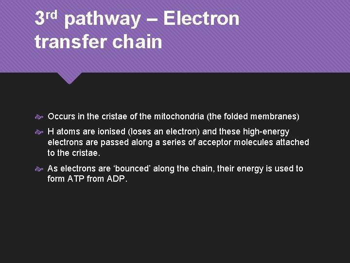 3 rd pathway – Electron transfer chain Occurs in the cristae of the mitochondria