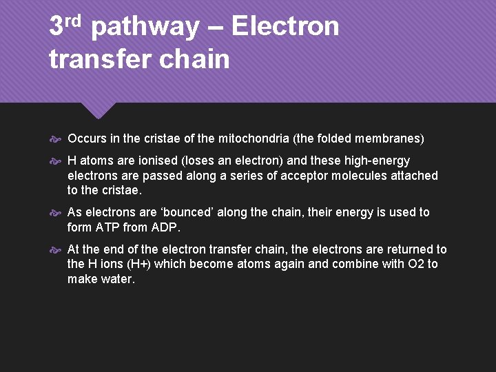 3 rd pathway – Electron transfer chain Occurs in the cristae of the mitochondria