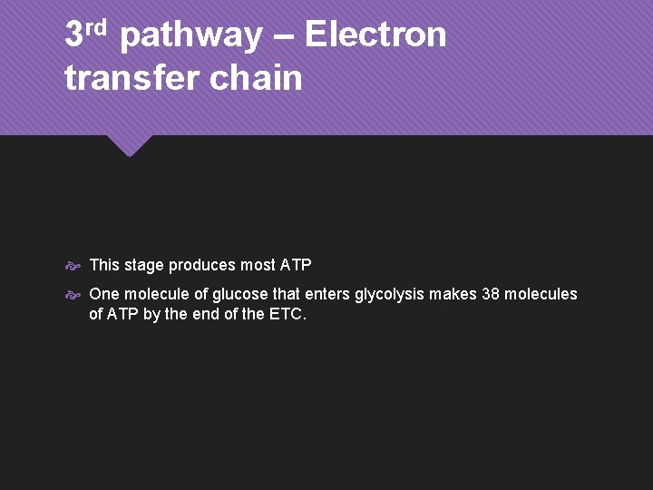 3 rd pathway – Electron transfer chain This stage produces most ATP One molecule