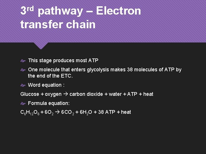 3 rd pathway – Electron transfer chain This stage produces most ATP One molecule