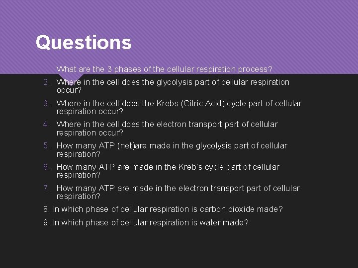 Questions 1. What are the 3 phases of the cellular respiration process? 2. Where