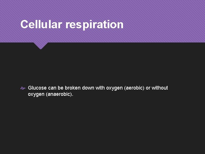Cellular respiration Glucose can be broken down with oxygen (aerobic) or without oxygen (anaerobic).