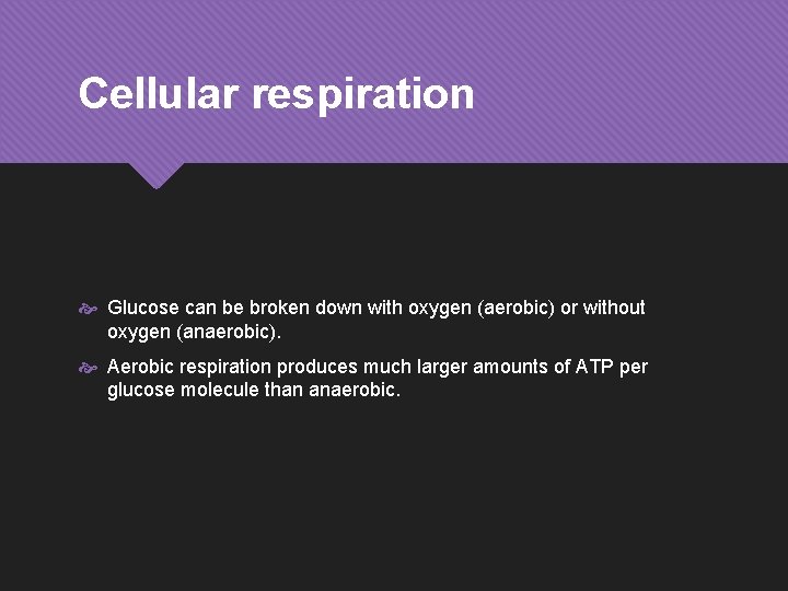 Cellular respiration Glucose can be broken down with oxygen (aerobic) or without oxygen (anaerobic).