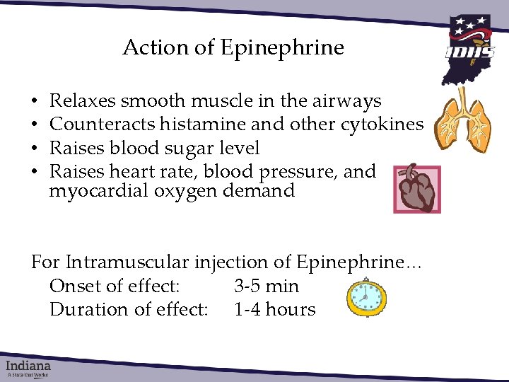 Action of Epinephrine • • Relaxes smooth muscle in the airways Counteracts histamine and