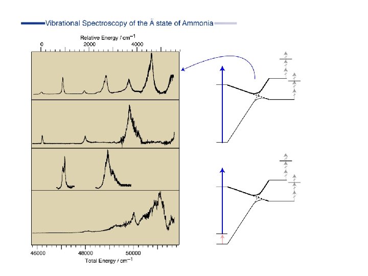 Vib spec no assignments 