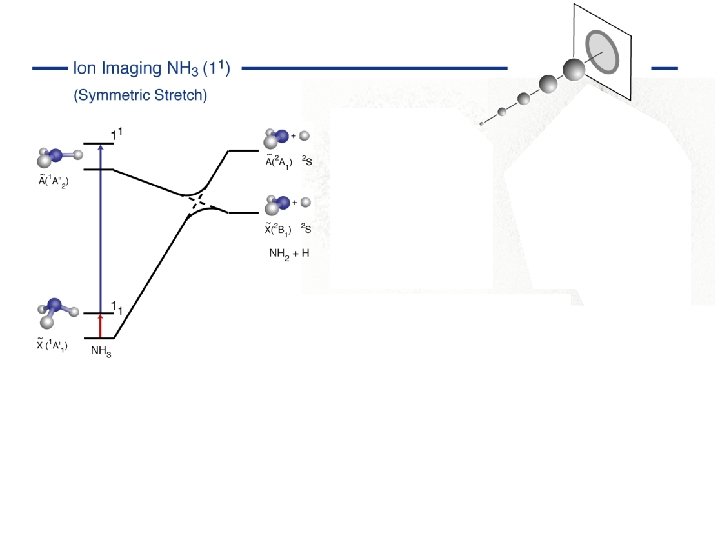 Imaging Vimp sym str 