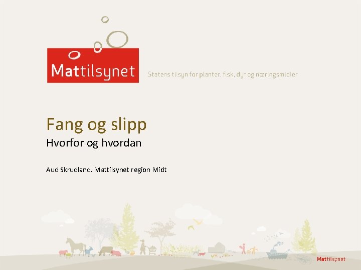 Fang og slipp Hvorfor og hvordan Aud Skrudland. Mattilsynet region Midt 