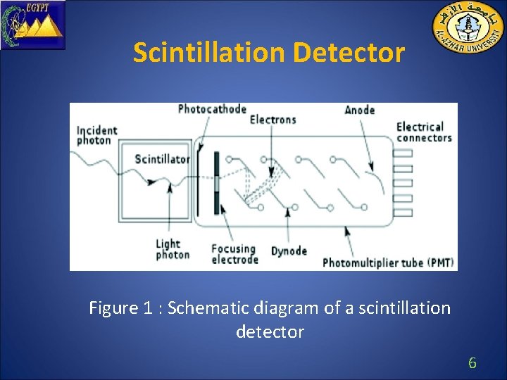 Scintillation Detector Figure 1 : Schematic diagram of a scintillation detector 6 