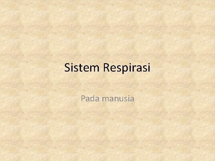 Sistem Respirasi Pada manusia 