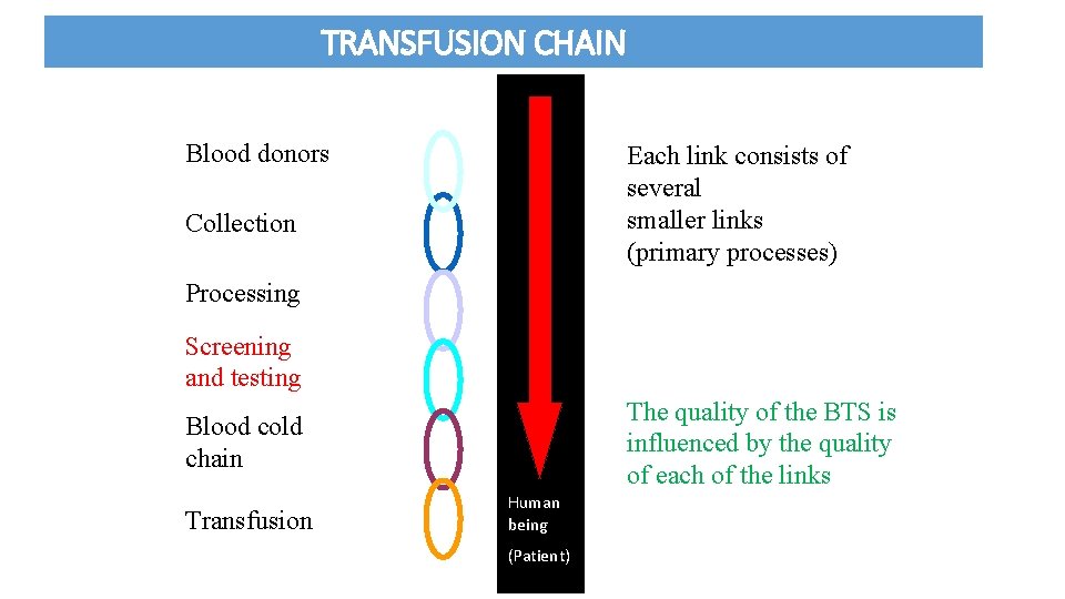 TRANSFUSION CHAIN Human being Blood donors (Donor) Collection Each link consists of several smaller
