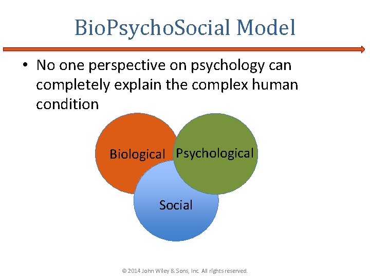 Bio. Psycho. Social Model • No one perspective on psychology can completely explain the Bio. Psycho. Social Model • No one perspective on psychology can completely explain the