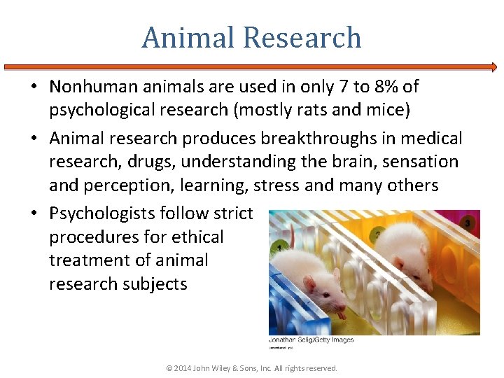 Animal Research • Nonhuman animals are used in only 7 to 8% of psychological Animal Research • Nonhuman animals are used in only 7 to 8% of psychological