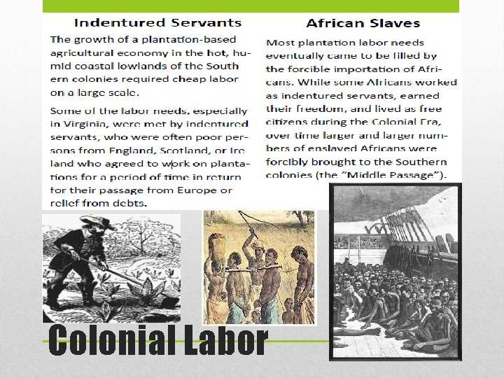 Colonial Labor 