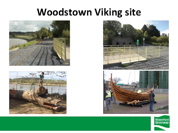 Woodstown Viking site 