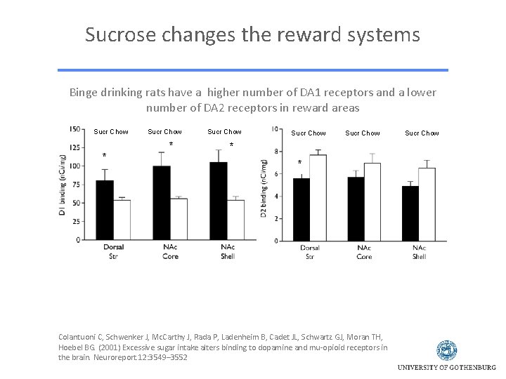 Sucrose changes the reward systems Binge drinking rats have a higher number of DA