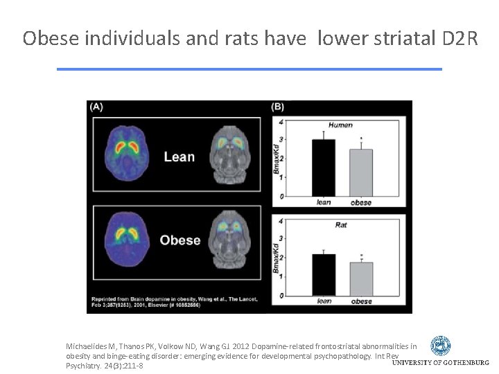 Obese individuals and rats have lower striatal D 2 R Michaelides M, Thanos PK,