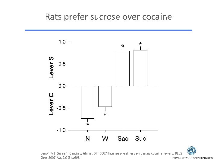 Rats prefer sucrose over cocaine Lenoir M 1, Serre F, Cantin L, Ahmed SH.