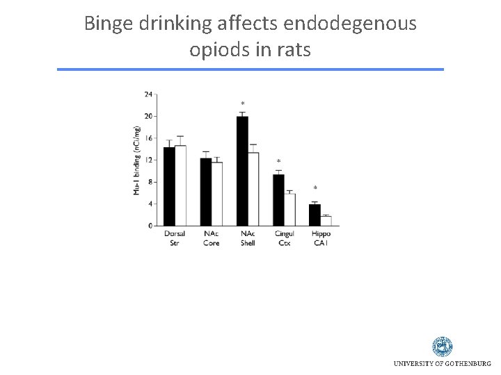 Binge drinking affects endodegenous opiods in rats 