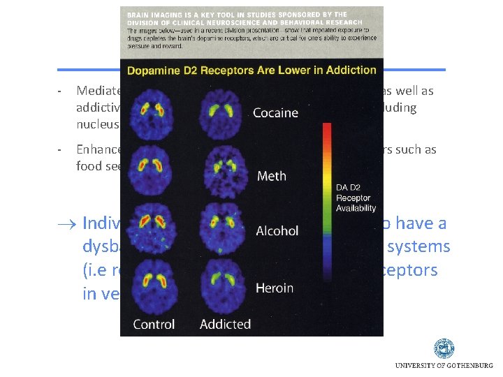 Role of the reward system - Mediate the rewarding properties of natural rewards as