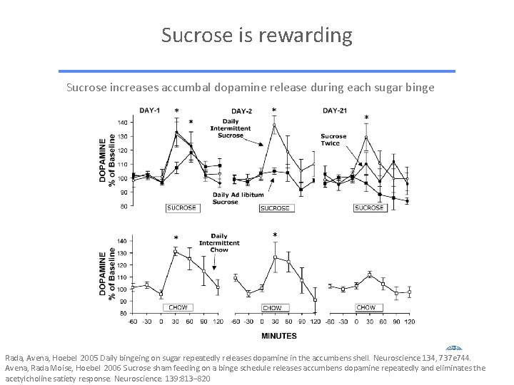 Sucrose is rewarding Sucrose increases accumbal dopamine release during each sugar binge Rada, Avena,