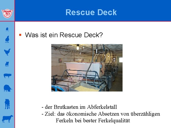 Rescue Deck § Was ist ein Rescue Deck? - der Brutkasten im Abferkelstall -