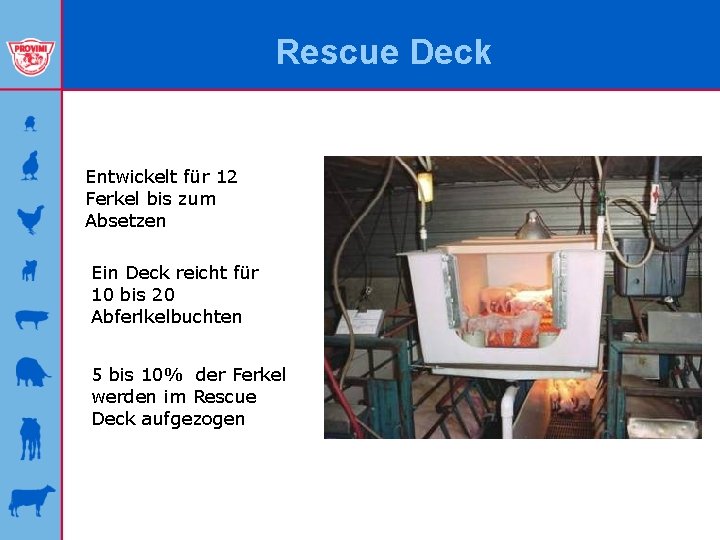 Rescue Deck Entwickelt für 12 Ferkel bis zum Absetzen Ein Deck reicht für 10