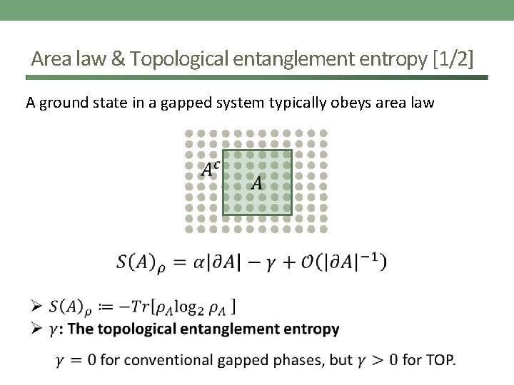 Area law & Topological entanglement entropy [1/2] A ground state in a gapped system