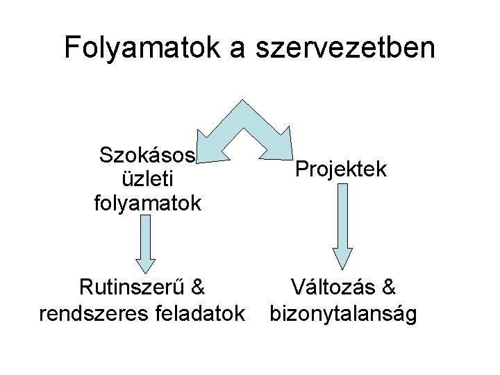 Folyamatok a szervezetben Szokásos üzleti folyamatok Projektek Rutinszerű & rendszeres feladatok Változás & bizonytalanság