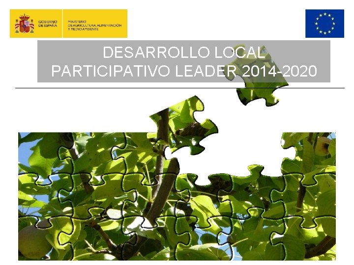 DESARROLLO LOCAL PARTICIPATIVO LEADER 2014 -2020 DESARROLLO LOCAL PARTICIPATIVO-LEADER 