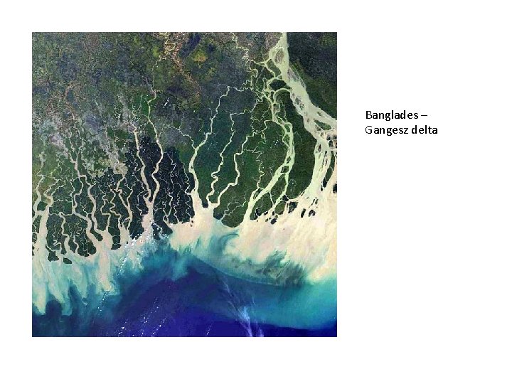 Banglades – Gangesz delta 