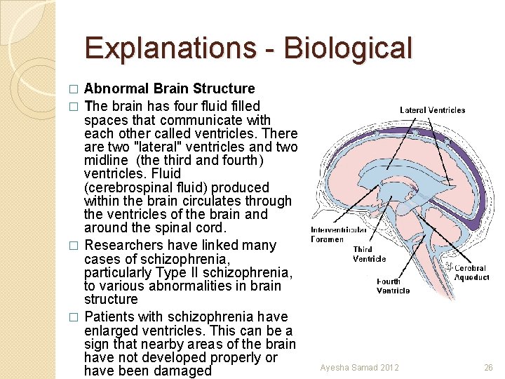 Explanations - Biological Abnormal Brain Structure � The brain has four fluid filled spaces