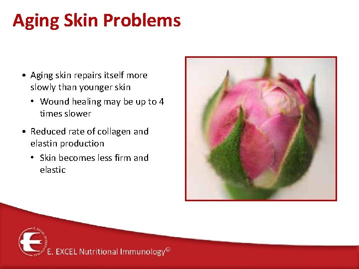 Aging Skin Problems • Aging skin repairs itself more slowly than younger skin •