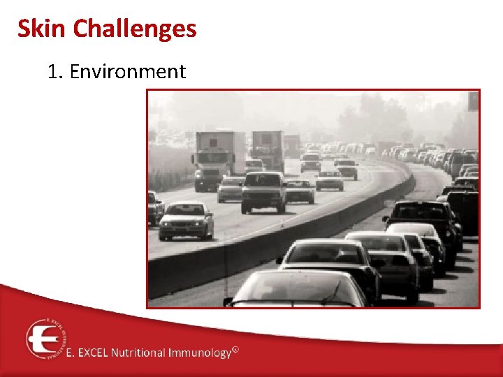 Skin Challenges 1. Environment 