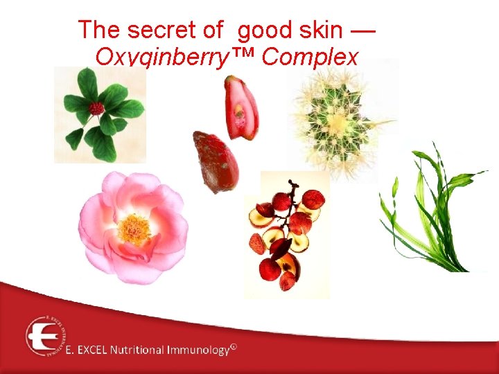 The secret of good skin — Oxyginberry™ Complex 