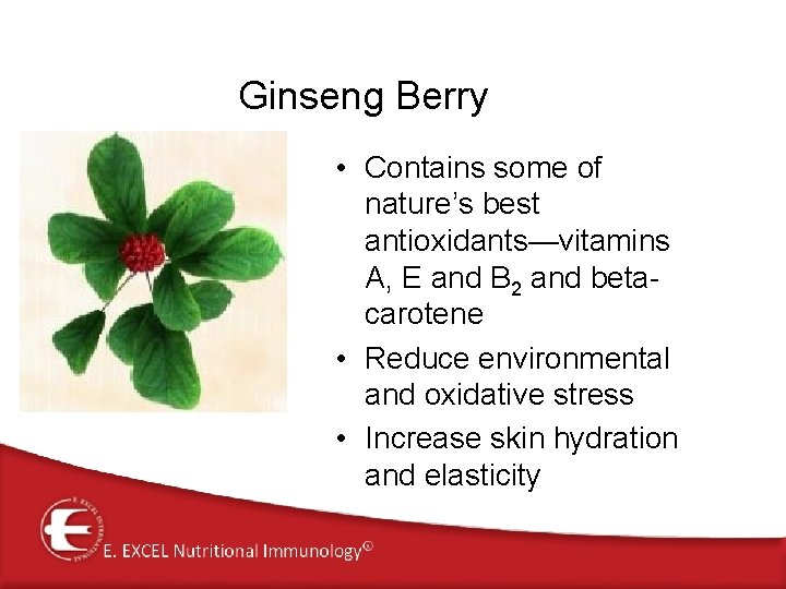 Ginseng Berry • Contains some of nature’s best antioxidants—vitamins A, E and B 2