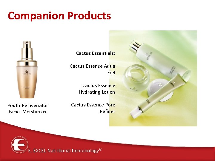 Companion Products Cactus Essentials: Cactus Essence Aqua Gel Cactus Essence Hydrating Lotion Youth Rejuvenator