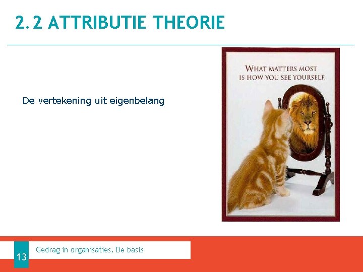 2. 2 ATTRIBUTIE THEORIE De vertekening uit eigenbelang 13 Gedrag in organisaties. De basis