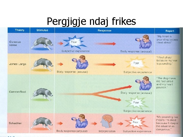 Pergjigje ndaj frikes Pergjigje ndaj frikes