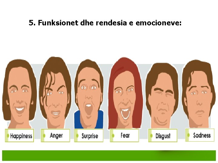5. Funksionet dhe rendesia e emocioneve: 5. Funksionet dhe rendesia e emocioneve: