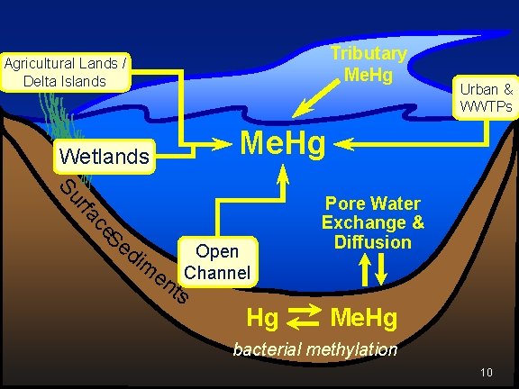 Tributary Me. Hg Agricultural Lands / Delta Islands Wetlands Me. Hg ce rfa Su