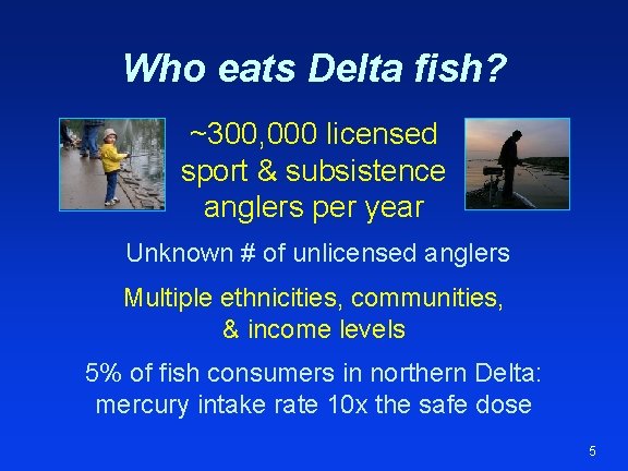 Who eats Delta fish? ~300, 000 licensed sport & subsistence anglers per year Unknown