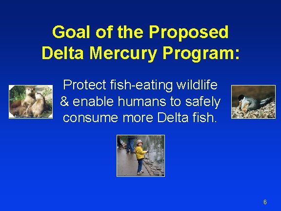 Goal of the Proposed Delta Mercury Program: Protect fish-eating wildlife & enable humans to
