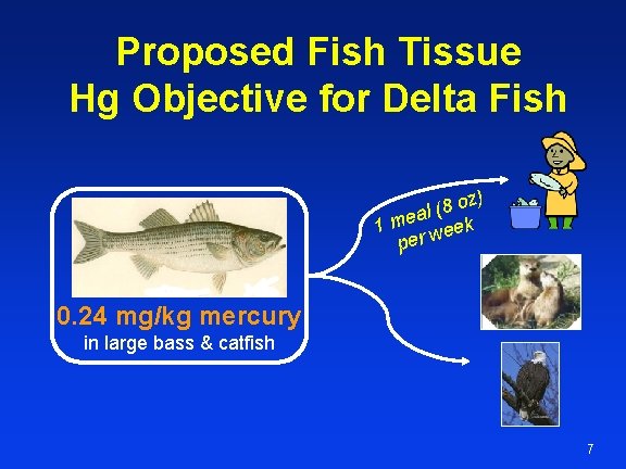 Proposed Fish Tissue Hg Objective for Delta Fish z) o 8 ( al 1