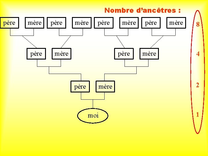 Nombre d’ancêtres : père mère père mère moi père mère 8 4 2 1