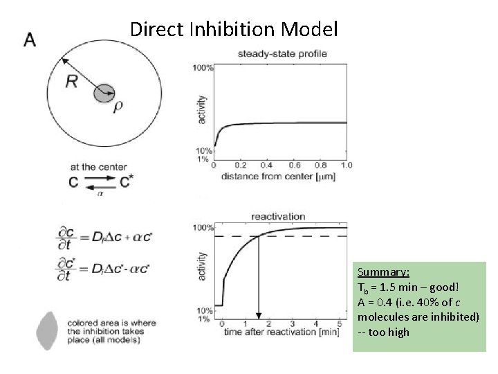 Direct Inhibition Model Summary: Tb = 1. 5 min – good! A = 0.