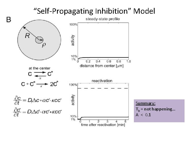 “Self-Propagating Inhibition” Model Summary: Tb = not happening… A < 0. 1 