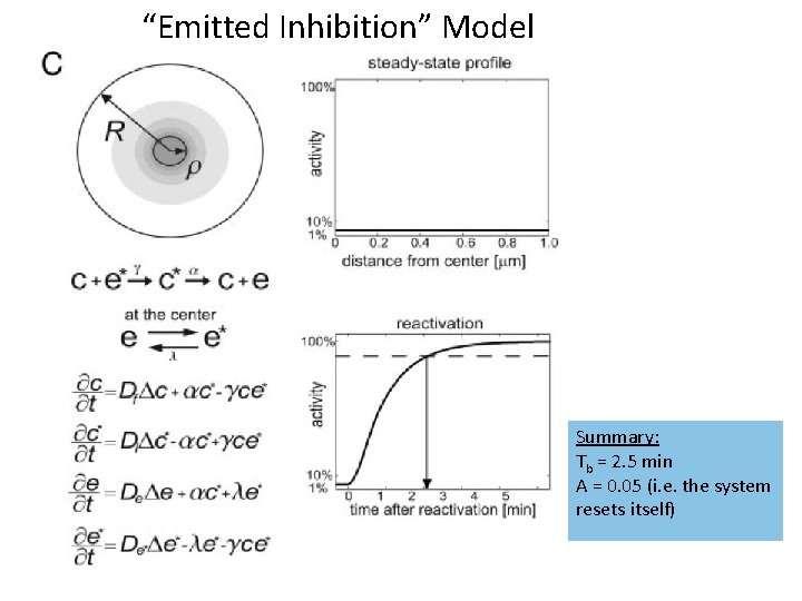 “Emitted Inhibition” Model Summary: Tb = 2. 5 min A = 0. 05 (i.
