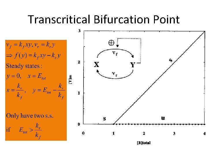 Transcritical Bifurcation Point 